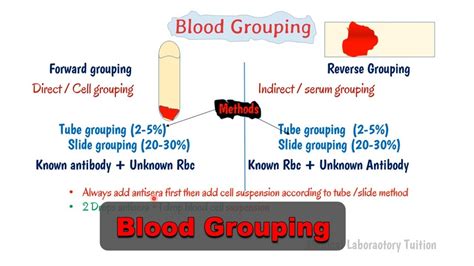 blood grouping principle abo blood grouping  rh typing