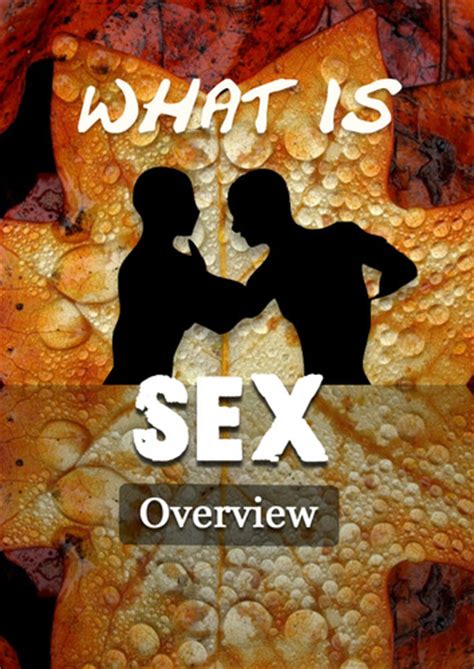 What Is Sex Overview Eqafe