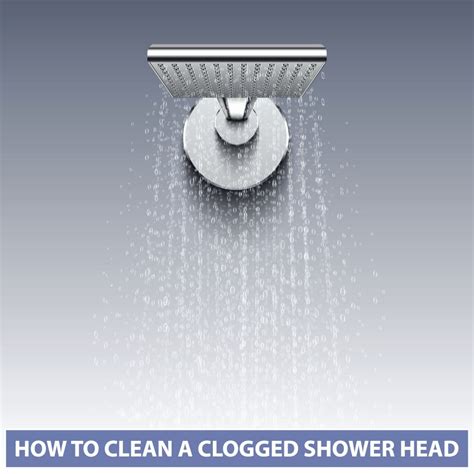 clean  clogged shower head showerar