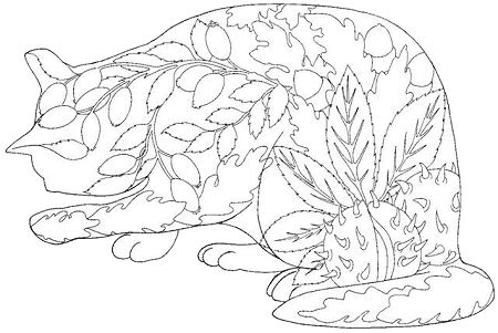black  white drawings  colour cat coloring page coloring pages