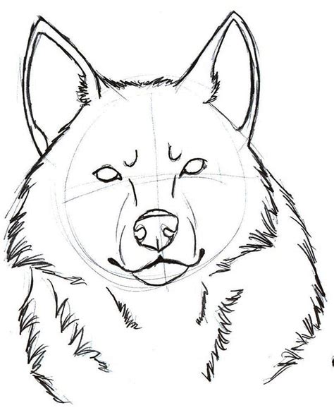 snarling wolf head drawing coloring coloring pages