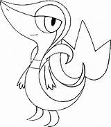 Snivy Shy Detiru Coloriages Malvorlagen Pokémon Victini Imagenes Colorare Cartoni Colorironline Morningkids Coloringhome Uitprinten Downloaden sketch template
