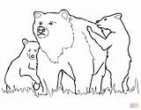 Bear Grizzly Coloring Cubs Pages Cub Bears Mother Brown Chicago Drawing Outline Line Polar Printable Color Cartoon Drawings Baby Vector sketch template