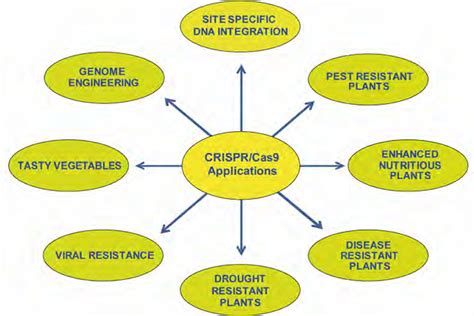 applications  crisprcas  agriculture nutrition health