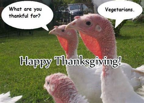 happy thanksgiving funny lover