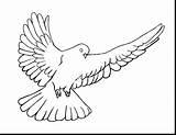 Dove Coloring Mourning 1210 44kb sketch template