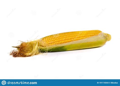 fresh uncooked corn    stock image image  sweet organic