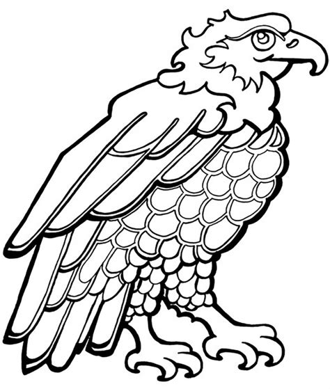 july coloring pages  adults