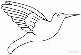 Hummingbird Coloring Pages Printable Cool2bkids Kids sketch template