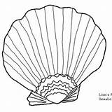 Scallop Shell Drawing Coloring Pages Getdrawings sketch template