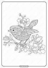 Flowering Branch Coloring Bird Tree Whatsapp Tweet Email sketch template