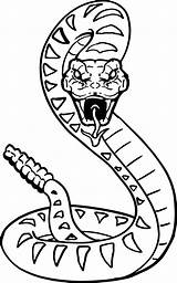 Snake Drawing Clipart Face Library Coloring Pages sketch template