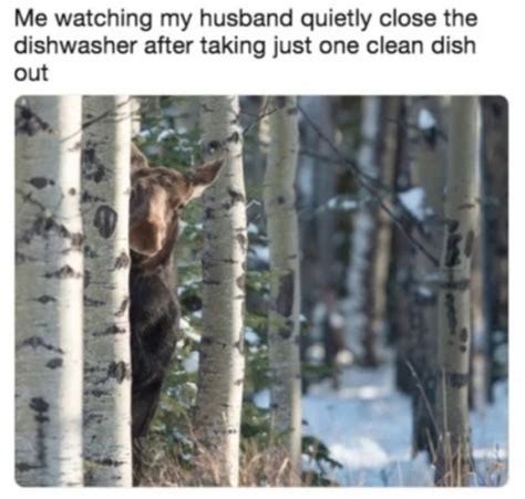 49 Funny Marriage Memes That Range From Cute And Happy To Scary
