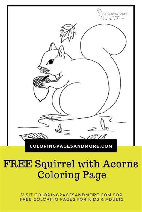 squirrel  acorns coloring page coloring pages   coloring