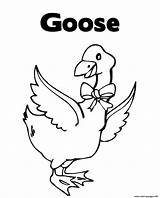 Goose Gansos Patos Ganso sketch template