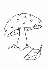 Coloring Pages Colouring Mushroom Printable Drawing Pattern Kids Sheets Printablecolouringpages sketch template