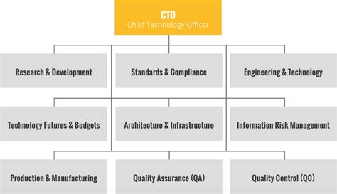 chief strategy officer org chart