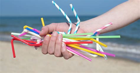 Plastic Straws Make Ocean Pollution Environment Friendly Alternatives