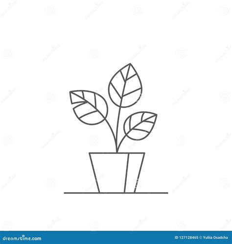 houseplant editable  vector illustration outline indoor plant   big leaves