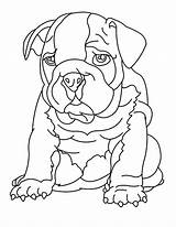 Bulldog Coloring Pages Drawing Cute Color Place Getdrawings Tocolor Comments sketch template