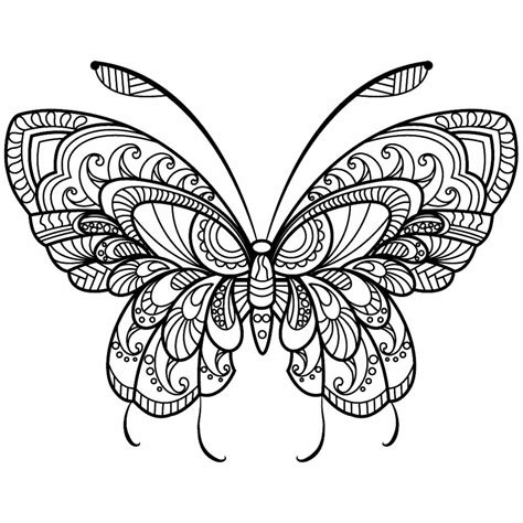 pin  coloring page land  coloring pages  insect coloring