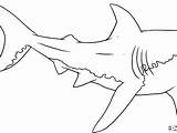 Megalodon Shark Coloring Pages Printable Getcolorings Colo Color Print sketch template