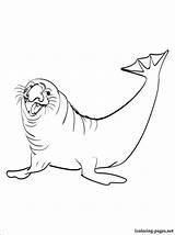 Coloring Elephant Seal Getcolorings sketch template