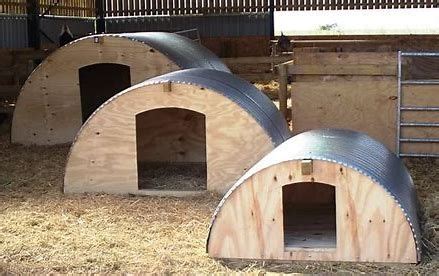 risultato immagine  pig pens  shelters pig shelter pig house