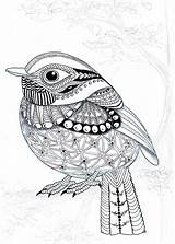Zentangle Kwok Efie Oiseau Vogels Flycatcher Goes Kleurplaten Icolor Pigeon Kleurplaat Hummingbird Uitprinten Colibri Doodles Odwiedź Gå Downloaden sketch template