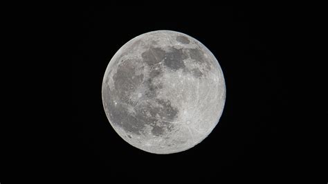 howl  januarys wolf moon  st full moon   rises tonight space