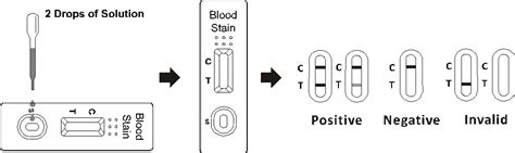 blood stain rapid test biozek