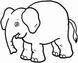 Coloring Pages Elephant Simple sketch template
