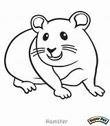Hamster Coloring Pages Color Cute Drawing Critter Glider Print Dwarf Sugar Realistic Printable Kids Colorings Getdrawings Animals Getcolorings Simple Unclebills sketch template