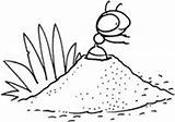 Anthill Ant sketch template