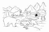 Nordpol Banquise Coloriage Ausmalbilder Tiere Fernand Petit Polar Dessin Arktis Esistmeins Antarctique Norte Malvorlage Polaires Coloriages Arctique Eisbar Pôle sketch template