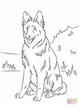 Coloring German Shepherd Pages Printable Supercoloring Dog sketch template