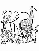 Animals Wild Coloring Pages Printable Kids Categories sketch template