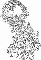 Coloring Mehndi Pages Tattoo Popular sketch template