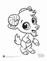 Coloring Baby Pages Animals Animal Cute Printable Print Cartoon Goat Printables Kids Touch Magic Drawings Colouring Color Drawing Sheets Book sketch template