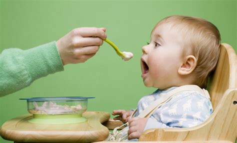 speech therapy baby feeding google search  organic baby food