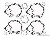Hedgehog Coloring Pages Drawing Kindergarten Line Appealing Preschool Getdrawings sketch template