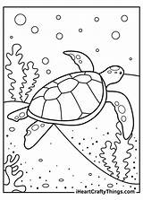 Turtle Iheartcraftythings Crafty sketch template