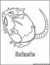 Raticate Coloring Fun Pages sketch template