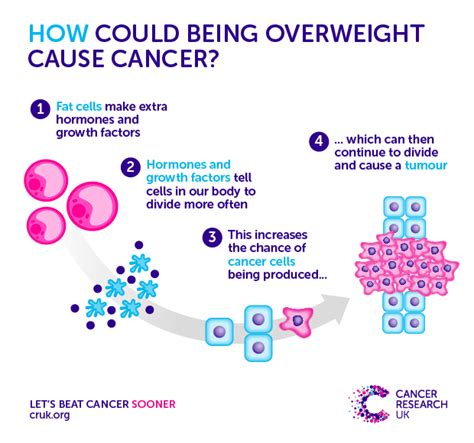 does obesity cause cancer cancer research uk