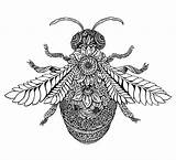 Bee Mandala Zentangle Abeille Botanical Coloriage Insect Bees Insects Craftwhack Drips Tangling Ruche épinglé Mireille Insectes Mug Dxf Eps sketch template