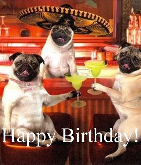 130 Best Images About Birthday Memes On Pinterest