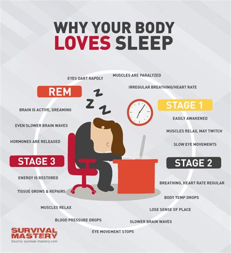 body loves sleep infographic visual ly