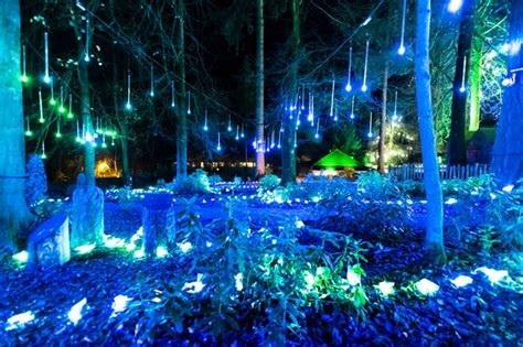 center parcs opens  winter wonderland  welcomes  santa