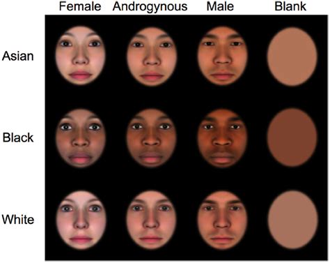Frontiers Gendered Race Are Infants’ Face Preferences Guided By