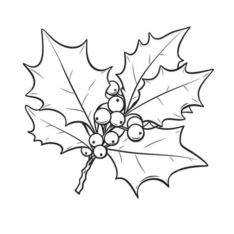 holly coloring page fresh holly leaf coloring pages gallery outline